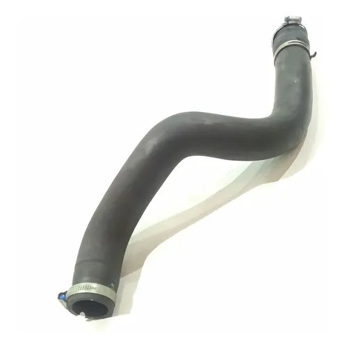 Mangueira Inferior Radiador Daewoo Leganza 1997    141700