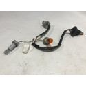 Chicote Lanterna Traseira Gm Cruze 2014 Original Usado