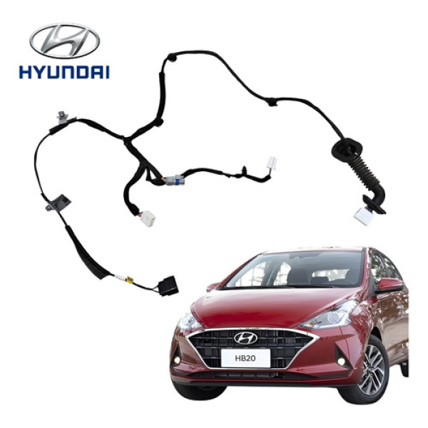 Chicote Porta Traseira Direita Hyundai Hb20 2020 A 2022 Orig