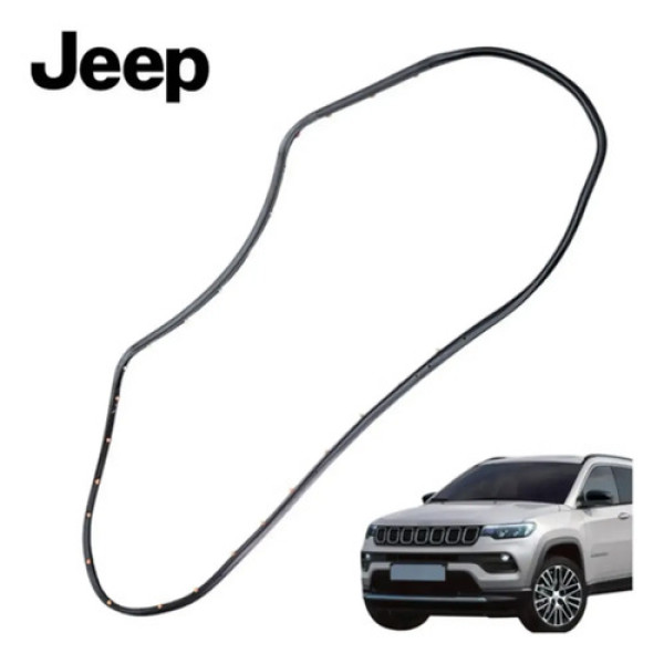Borracha Porta Traseira Esquerda Jeep Compass 2016 A 2025