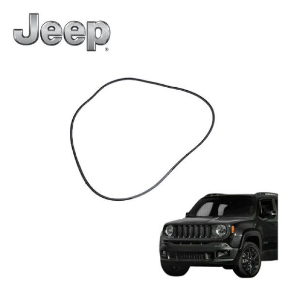 Borracha Porta Traseira Esquerda Jeep Renegade 1.8 Flex 2020 Preto