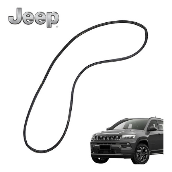 Borracha Porta Traseira Esquerda Jeep Compass Longitude 2025 Cinza