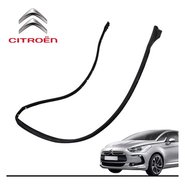Borracha Porta Dianteira Esquerda Citroën Ds5 1.6 Thp 2015 Preto