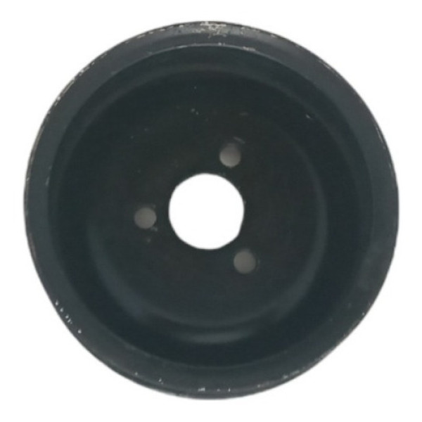 Polia Bomba Água Ford Ecosport 1.0 8v 2003 Até 2007 