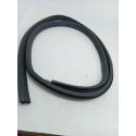 Borracha Porta Traseira Esquerda Gm Astra 1999 2011 Original