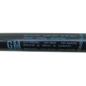 Amortecedor Tampa Traseira Gm Astra 1999 2011
