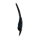 Porta Dianteira Direita Astra 1999 2011 4p Com Detalhe Dianteira Direita Azul