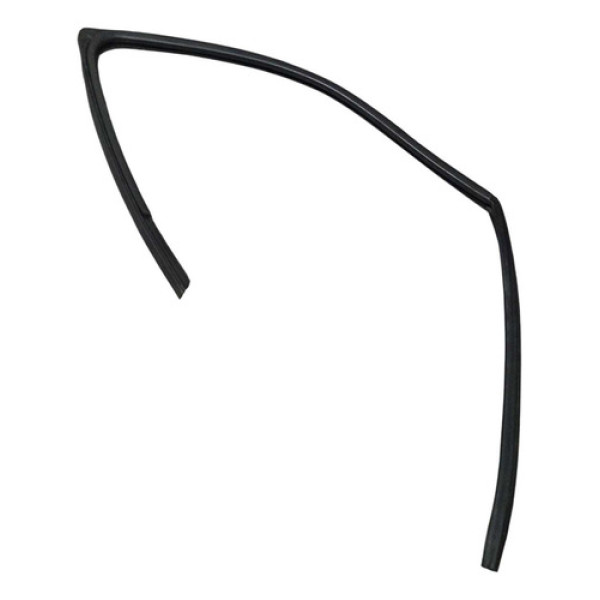 Borracha Canaleta Dianteira Esquerda Renault Clio 2004 2012 Cinza