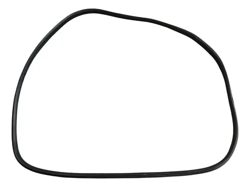 Borracha Porta Traseira Esquerda Renault Fluence 2011 2014  Prata