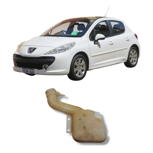 Reservatório Partida Frio Peugeot 307 2007 2012 Original