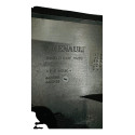 Capa Lateral Banco Dianteiro Direito Renault Sandero Duster Preto