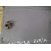 Moldura Porta Tras. Dir Renault Scenic 7700836265