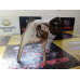 Suporte Filtro De Ar Peugeot 206 1.6 16v Usado Original 