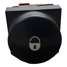Botao Trava Portas Citroen Xsara Picasso Original
