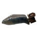 Suporte Motor Coxim Chevrolet Celta 12 Usado Original