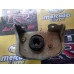 Suporte Motor Coxim Cambio Peugeot 206 07 1.4 16v Usado Esq.