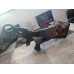 Suporte Tensor Ford Mondeo  10239ad