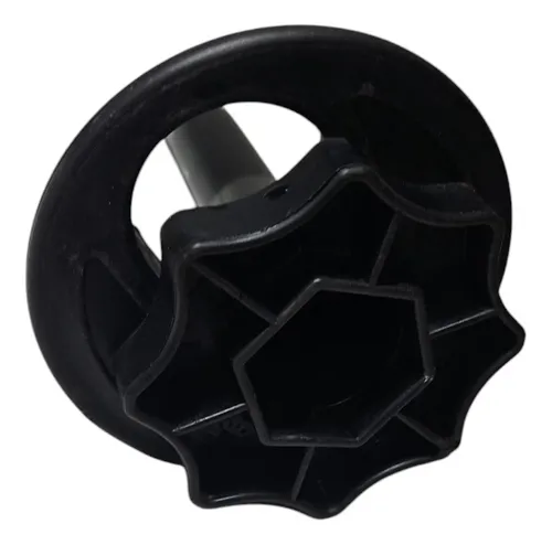 Parafuso Fixação Estepe Renault Scenic 06