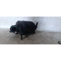 COLETOR ADM PICANTO 1.0 3CC DO   /