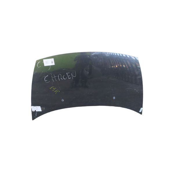 CAPO C3 2010 C/ DETALHE DO   /
