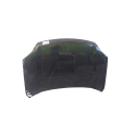CAPO X-TRAIL DO   /