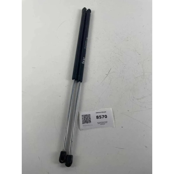 Par Amortecedor Porta Malas Peugeot 206 207 9660800080