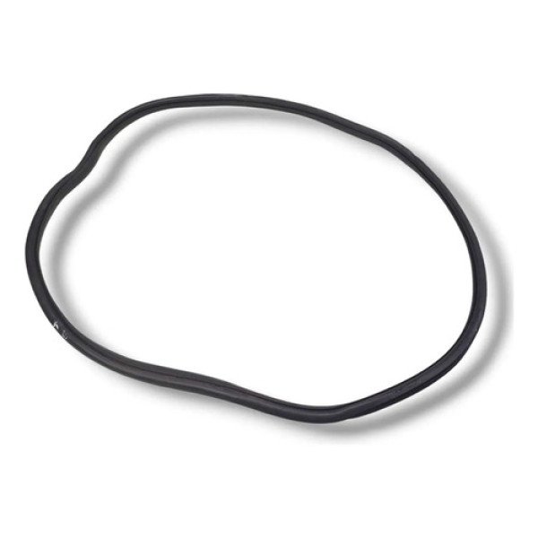 Borracha Porta Traseira Esquerda Citroen C4 Cactus 2020
