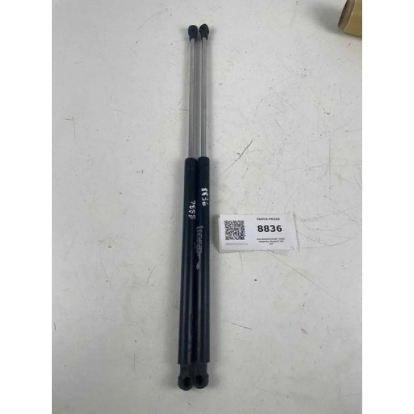Par Amortecedor Tampa Traseira Peugeot 206 207
