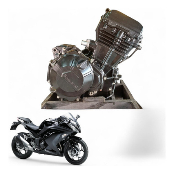 Motor Kawasaki Ninja 300 2013