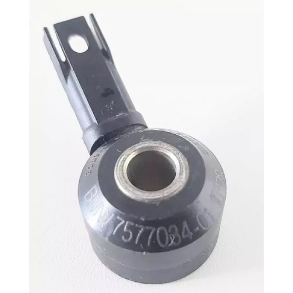 Sensor Detonação Bmw X5 750i 2012 4.4 Nº 757703401