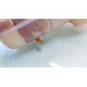 Reservatorio Agua Radiador Gm Cobalte Onix Prisma 1.8 2019