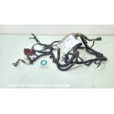Chicote Polo Positivo Negativo Ford Fusion 2.5 Ano 2014 2015