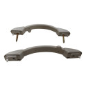 Alça Teto Puxador Pqp Citroen Peugeot C3 206 307 03/11 Par Gelo