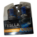Par Lâmpadas Hb1 Super Branca 60/45w 12v