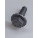 Parafuso De Fixação Polia Comando De Válvula 16v 1.0