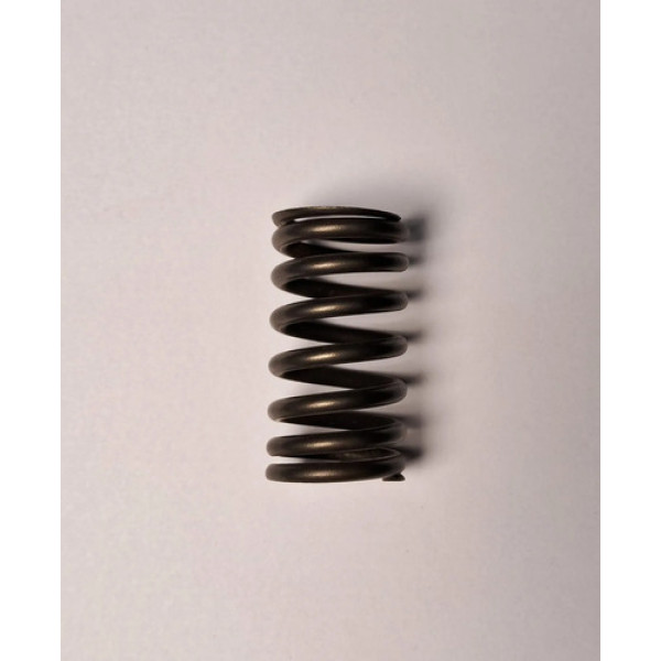 Mola De Válvula Cabeçote Motor Fiat Fire Fiorino Palio 01/20