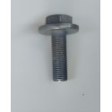 Parafuso De Fixação Polia Comando De Válvula 16v 1.0