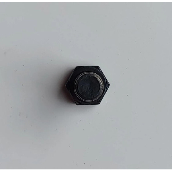 Parafuso De Fixação Flange Da Valvula Termostatica Gm Conf.d
