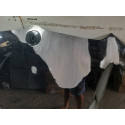 Capo Bmw X1 2023 2024 2025  13122405