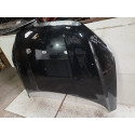 Capo Byd Song Plus 2023 2024 2025  12062604