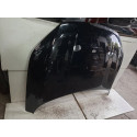 Capo Byd Song Plus 2023 2024 2025  12062604