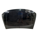 Capo Renault Duster  09042413