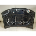 Capo Renault Duster  09042413