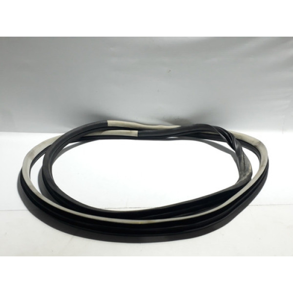 Borracha Porta Dianteira Esquerda C4 Grand Picasso 2008/2013