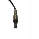 Sonda Lambda Uno Palio 55255859