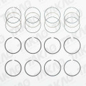 Anel (JG) - BMW 1.8L 8V M42 (184S1) M43 (184E2) 318 Gasolina