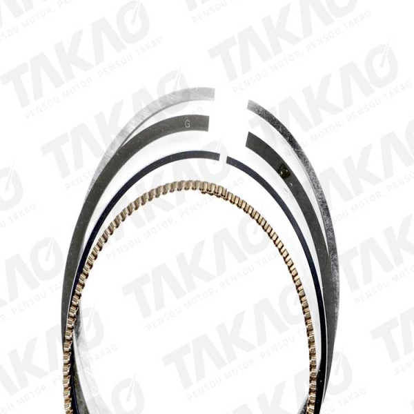 Anel (JG) - BMW 1.9L 16V M43 (194S1) 318 96 até 98 Gasolina