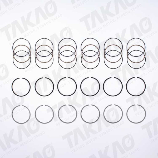 Anel JG BMW 2.5L 24V L6 M50 (256S1/S2) 325