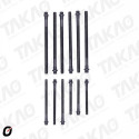 Parafuso de Cabeçote (JG) - BMW 2.0L 16V M52 N46B20B 120i, 320i após 03 Gasolina