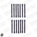 Parafuso de Cabeçote (JG) - BMW 2.5/2.8/3.0L 24V  M52/M54 325,328,330 528, 530, X3, X5